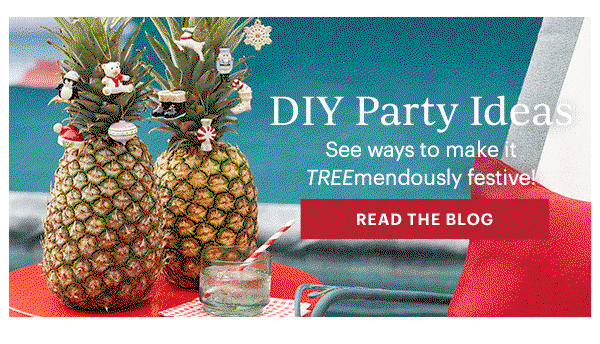 DIY Party Ideas  See ways to make it TREEmendously festive!  [READ THE BLOG]