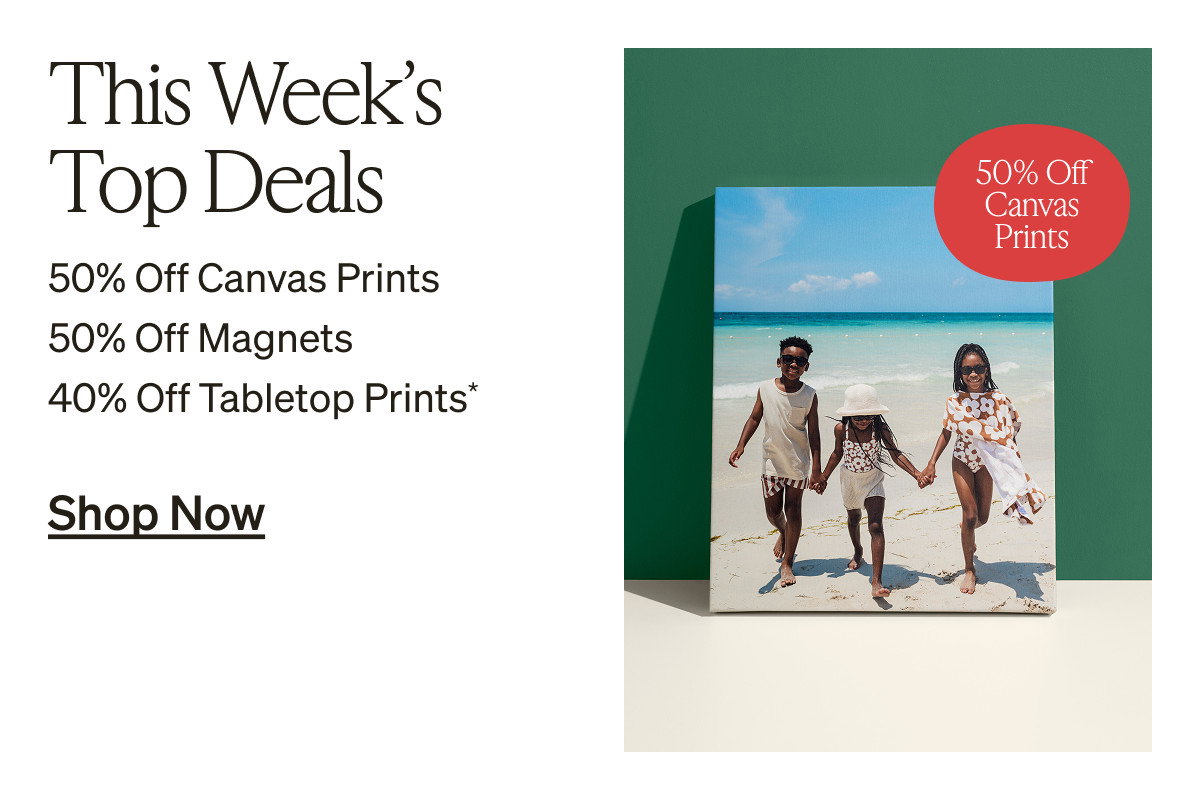 Free Shipping (No Minimum) + Up to 50% Off Almost Everything