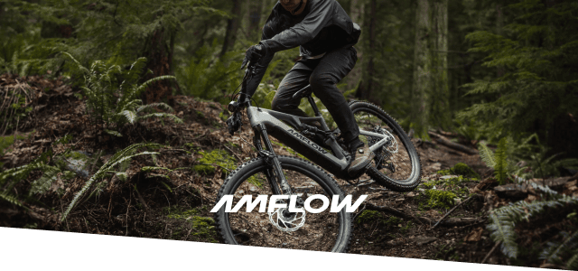 AMFLOW