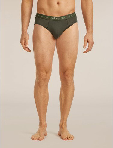 Men's Merino 150 Anatomica Briefs - Dark Loden / XL