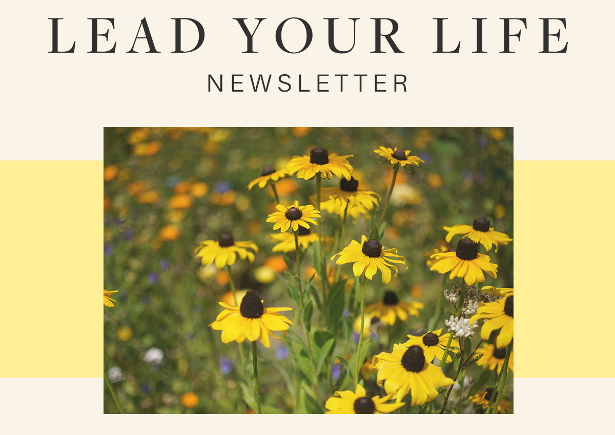 Lead Your Life Newsletter.