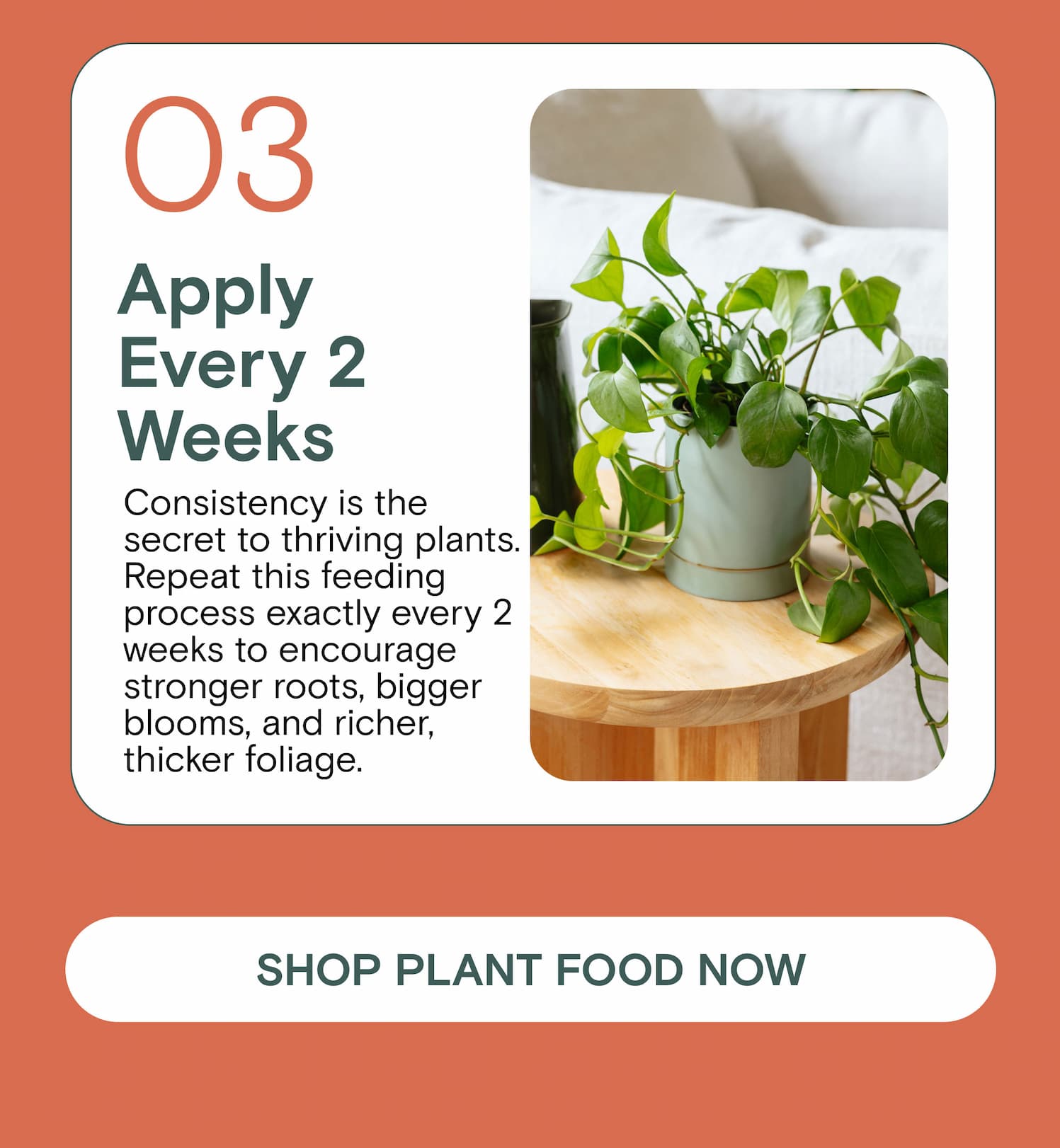 03 Apply Every 2 Weeks Consistency is the secret to thriving plants. Repeat this feeding process exactly every 2 weeks to encourage stronger roots, bigger blooms, and richer, thicker foliage.
