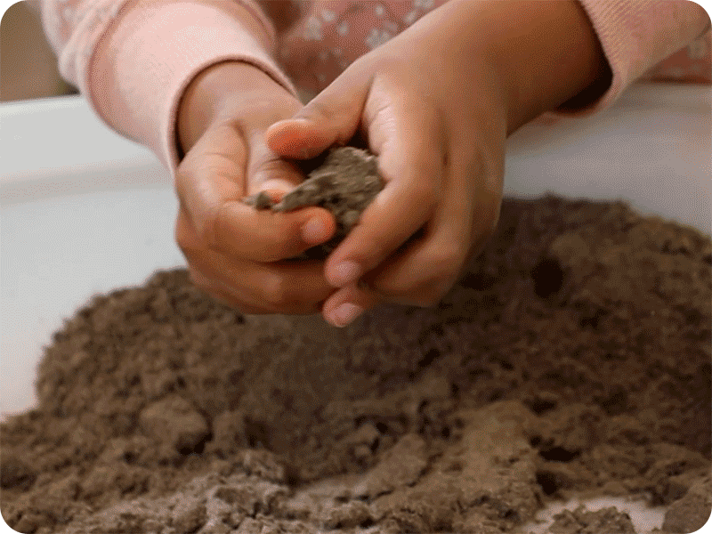 Wonder Dirt™