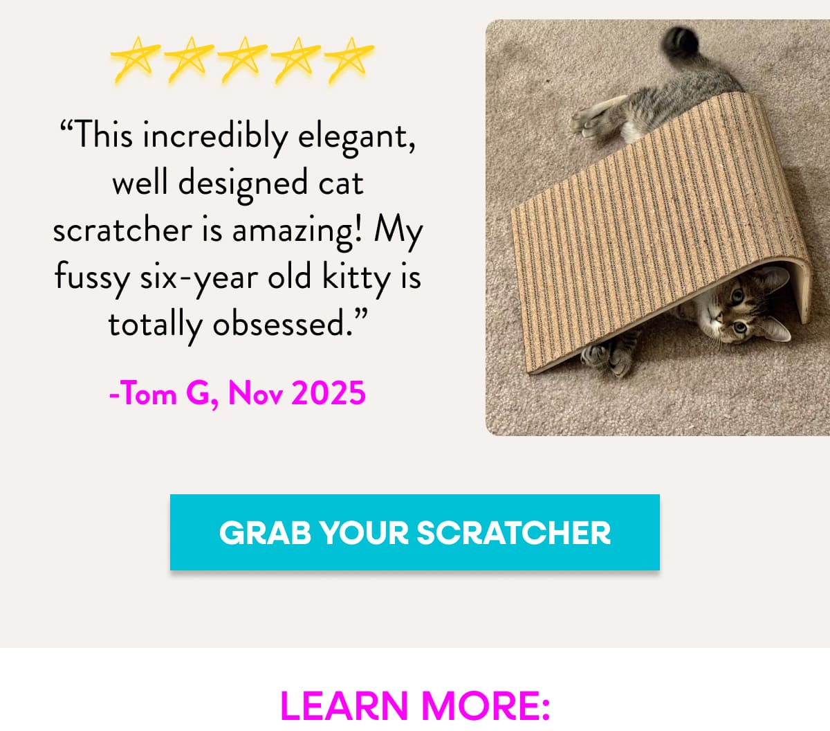 Free Shipping on the Scratchify! Incline Scratcher Incline Scratcher Scratchify!