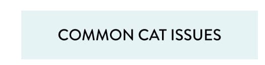 Common cat issues