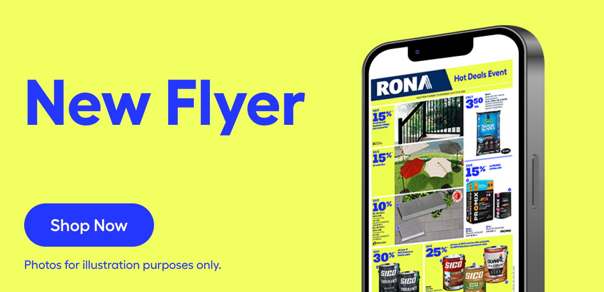 New Flyer Deals