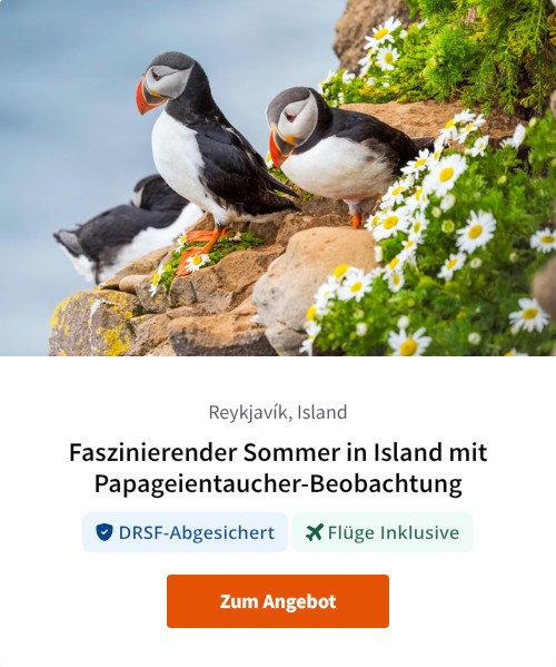 Faszinierender Sommer in Island mit Papageientaucher-Beobachtung