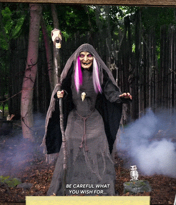 Shop Willow Witch Animatronic