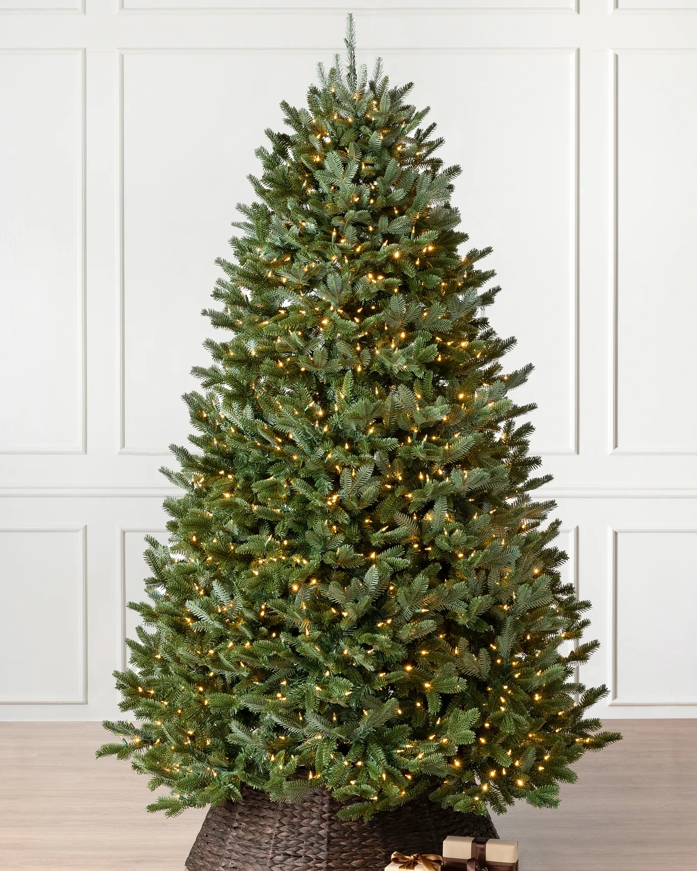 Image of BH Fraser Fir®