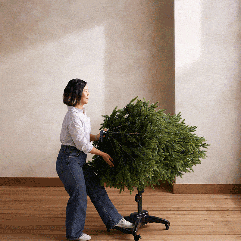 Woman setting up a Balsam Hill Flip Tree 