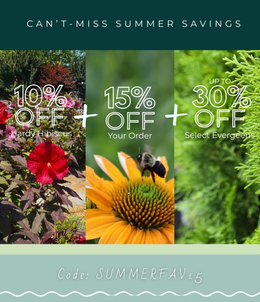 10% Off HARDY HIBISCUS. 15% OFF Your Order. Up To 30% OFF Select Evergreens.