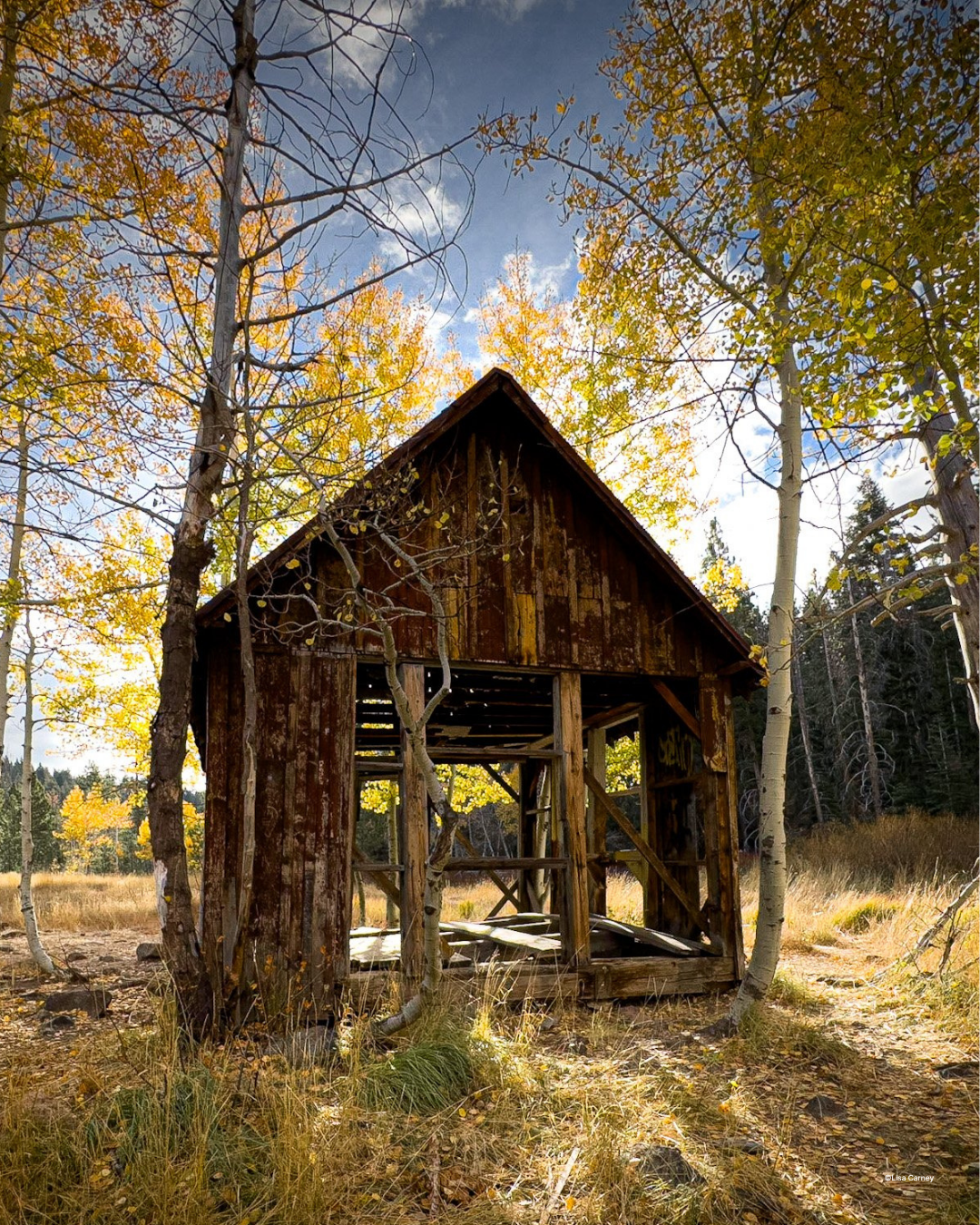 A tintype-style iPhone self-portrait with a faded, distressed look