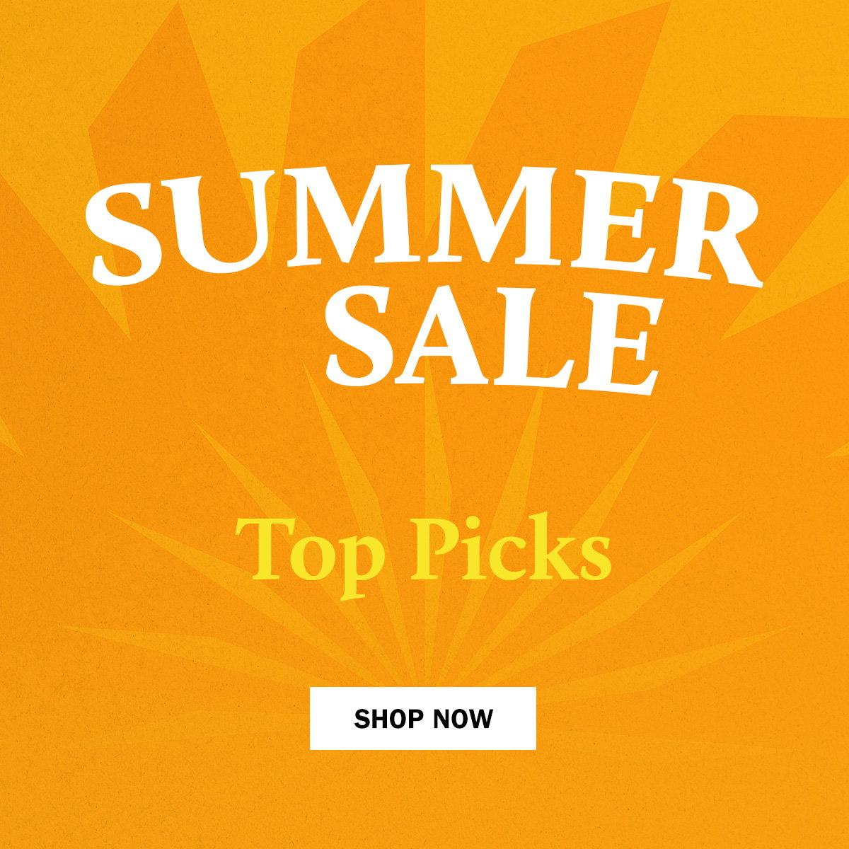 WildBounds Summer Sale | Top Picks | Up To 40% Off