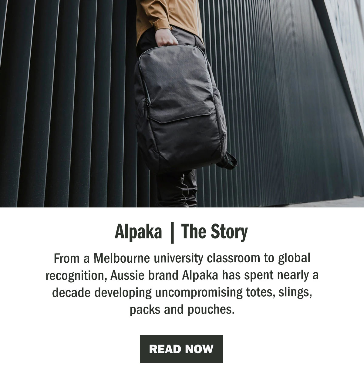 Alpaka | The Story | The WildBounds Journal