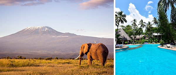 Bild-Collage: Elefant steht vor einem großen Berg im Amboseli Nationalpark, Poolbereich des Badehotels Hotel Kilifi Bay Beach Resort.