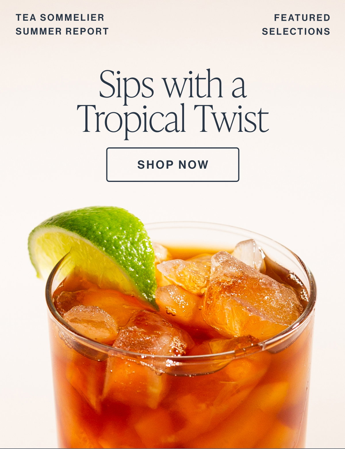 TEA SOMMELIER SUMMER REPORT FEATURED SELECTIONS Sips with a Tropical Twist  [[SHOP NOW]]