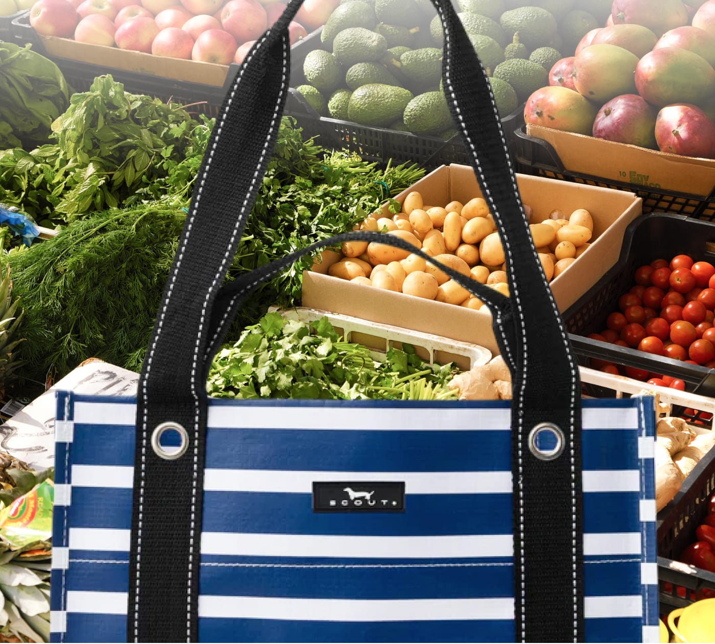 SCOUT Bag Product Photo