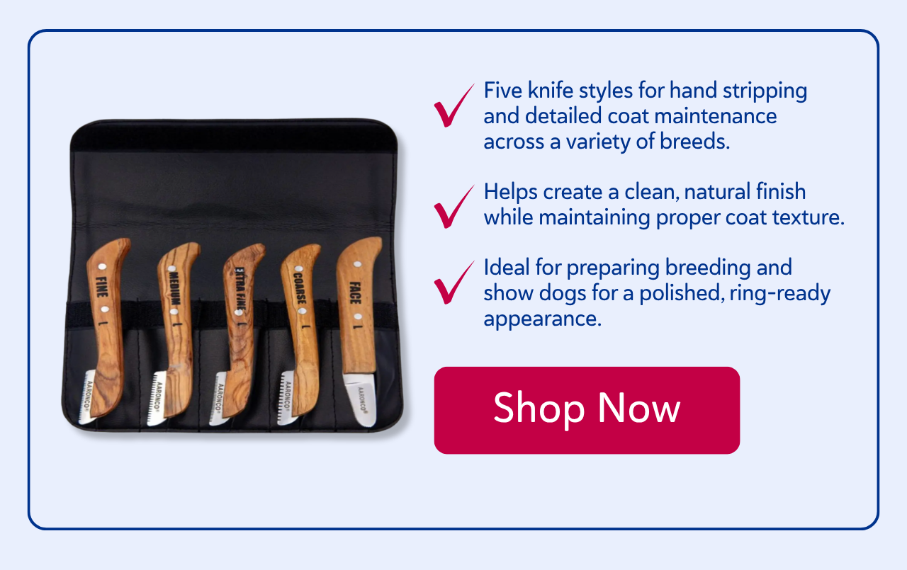 Aaronco Set of 5 Stripping Knife
