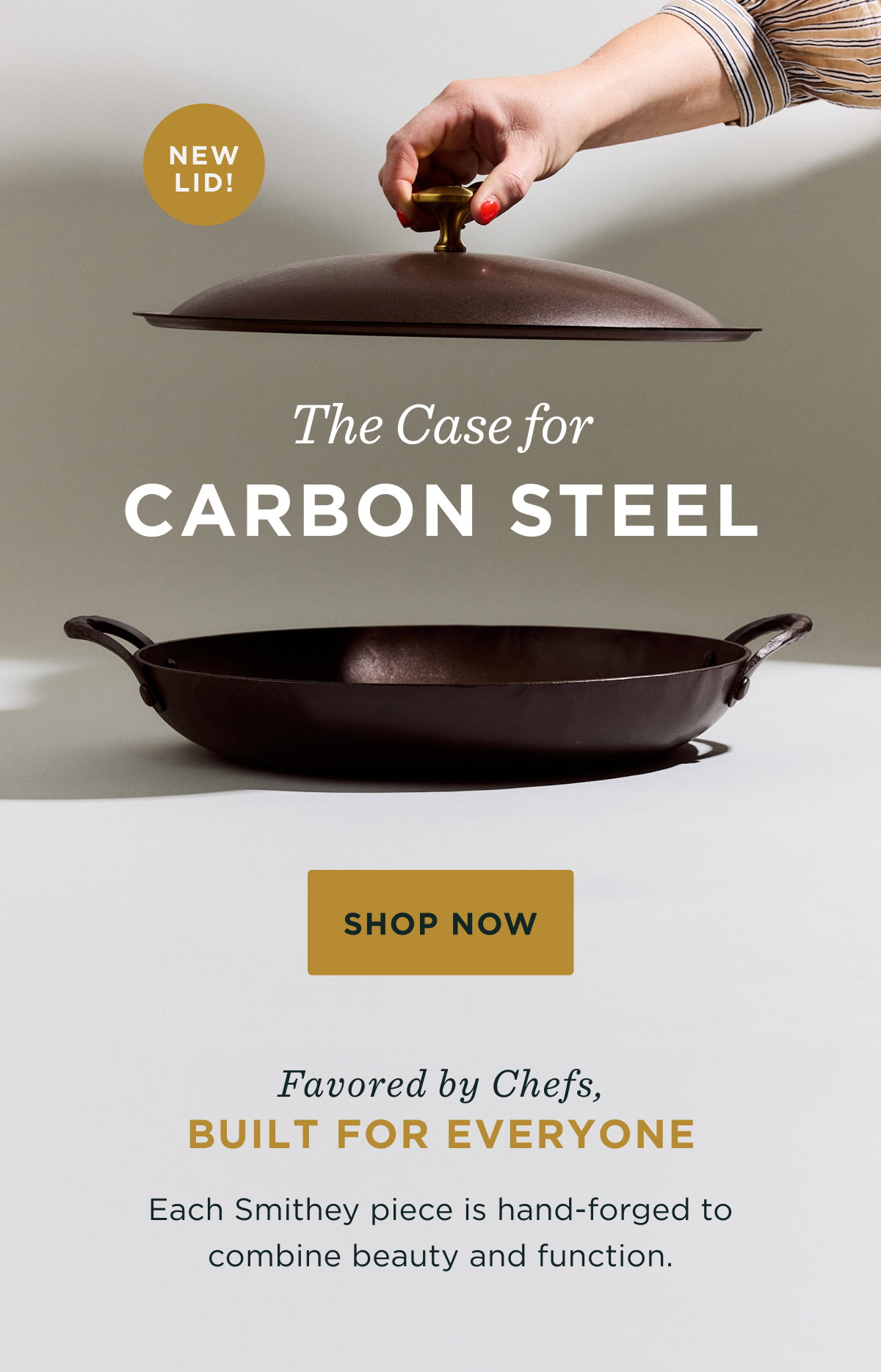 Master More with the Carbon Steel Lid