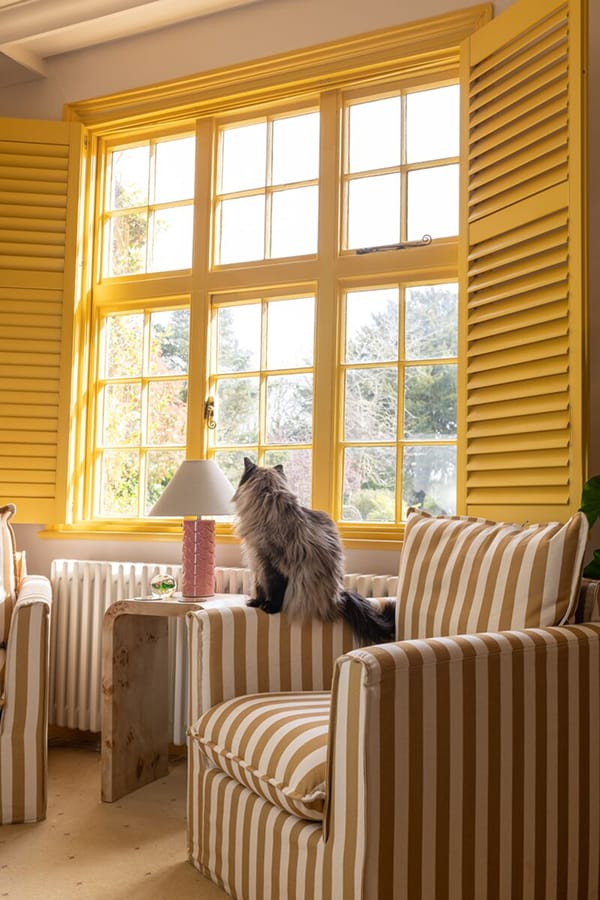 large sunlit window with yellow shutters, bright frames and grid panes filling the room with warm light.