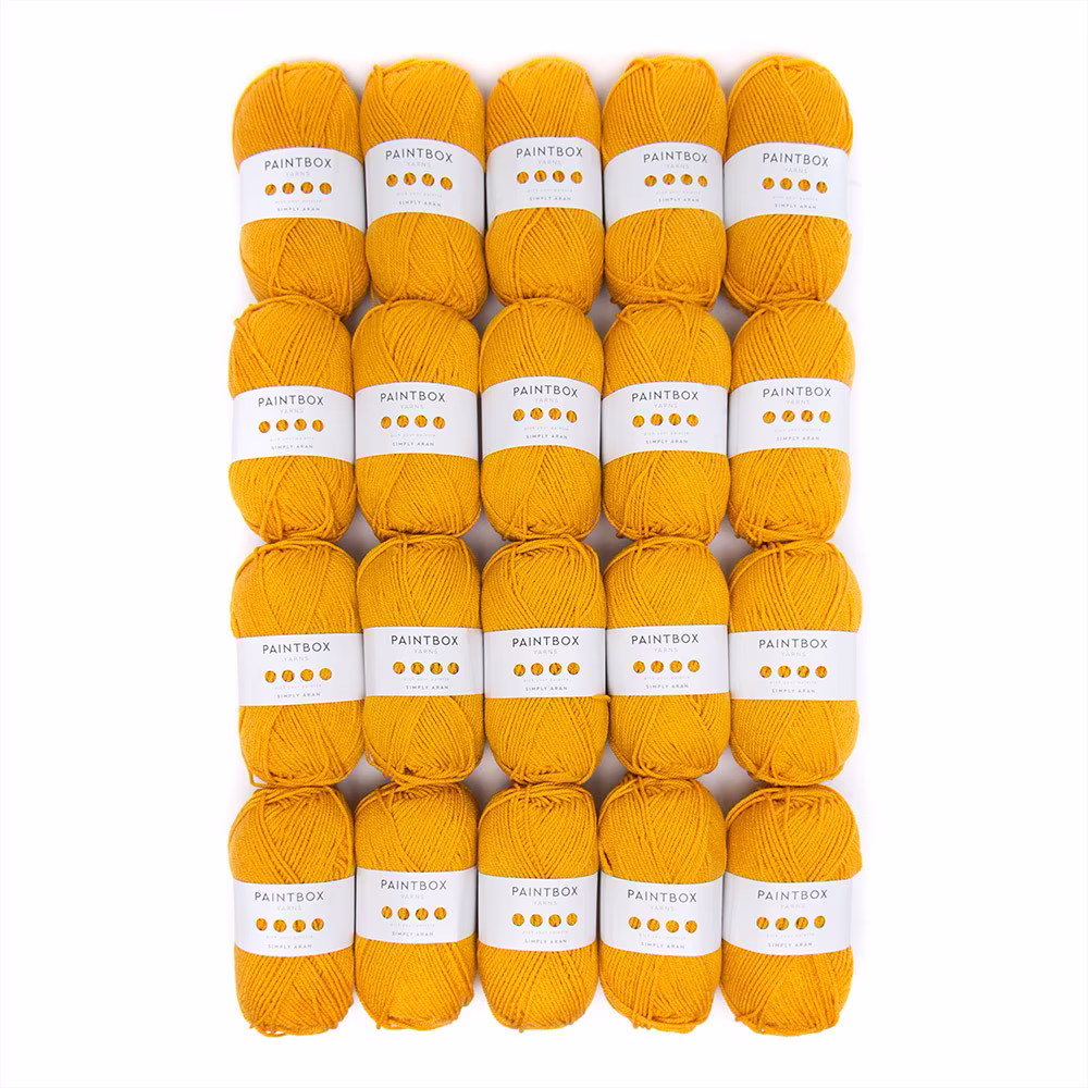 Paintbox Yarns Simply Aran 20 Ball Value Pack
