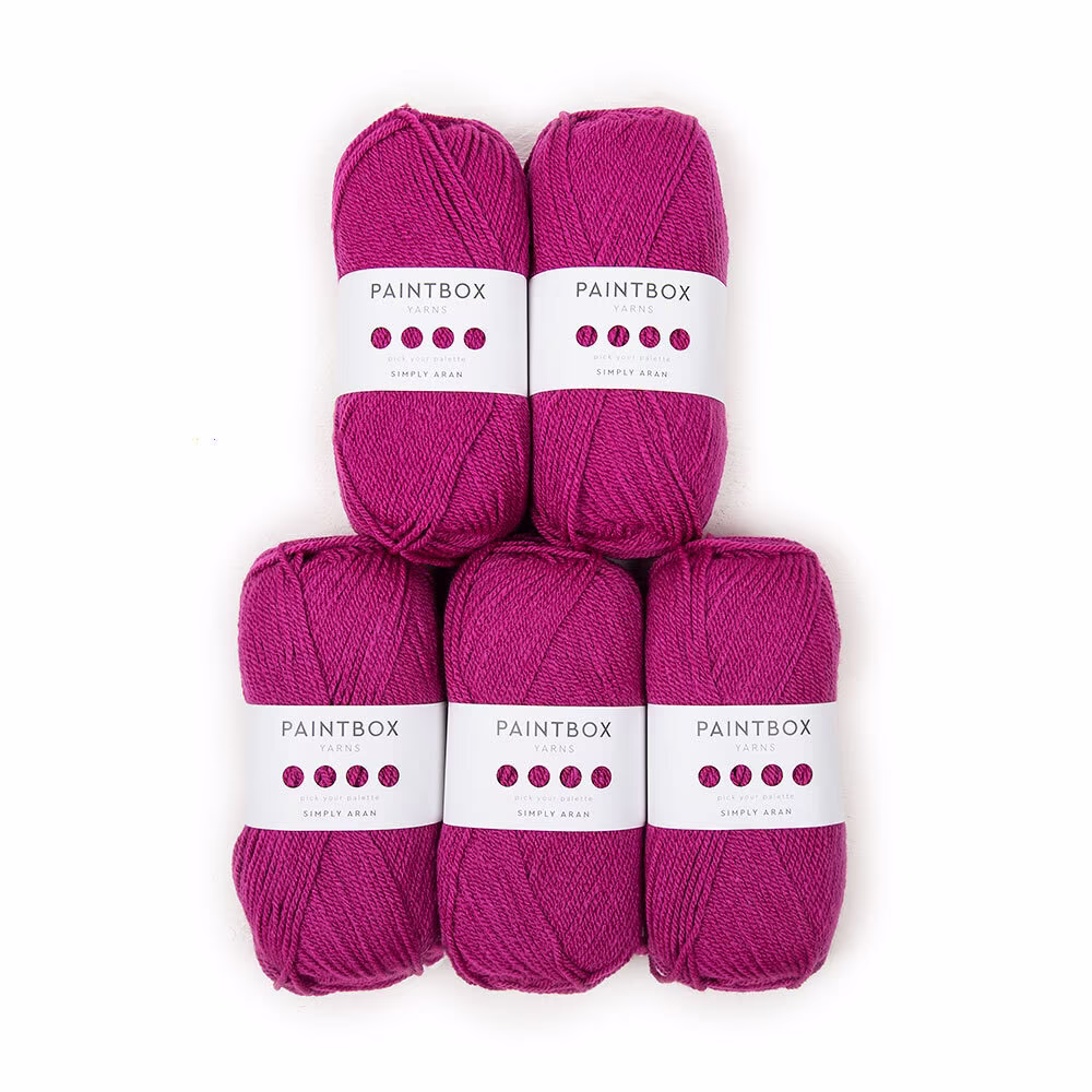 Paintbox Yarns Simply Aran 5 Ball Value Pack
