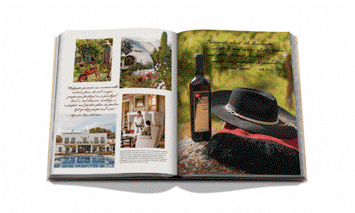 Wine & Travel Latin America