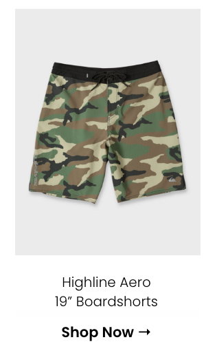 Highline Aero 19" Boardshorts