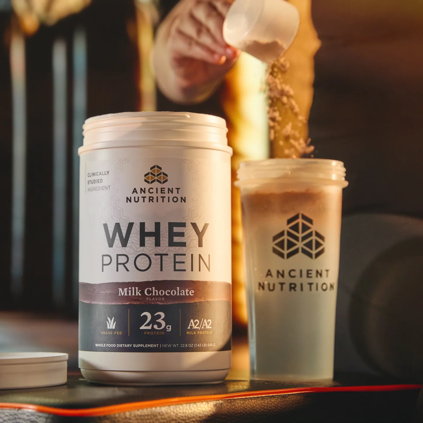 Whey Protein