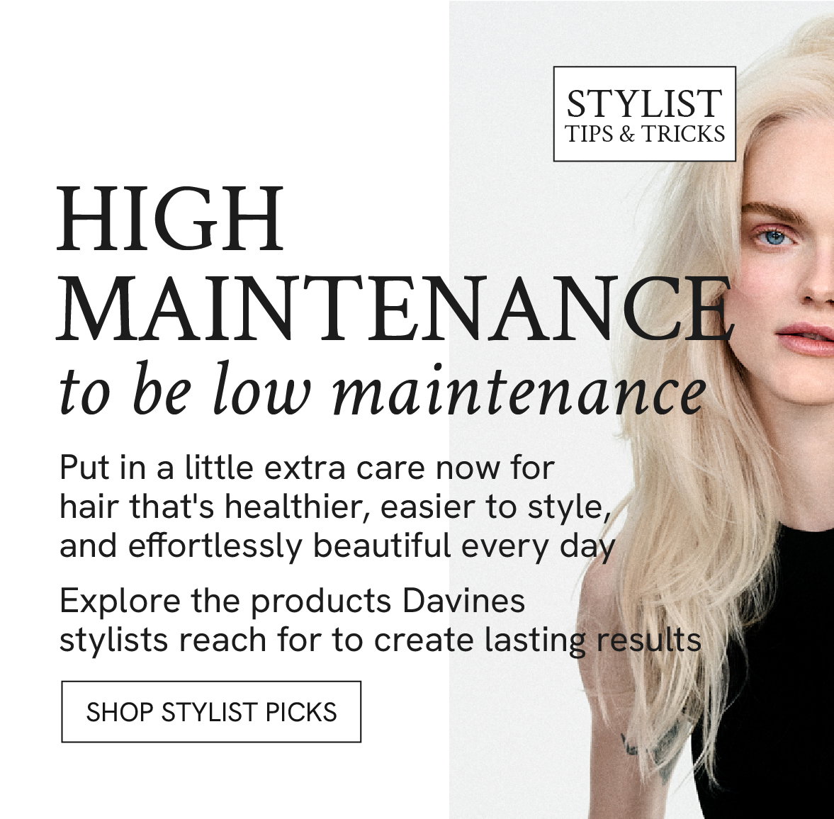Shop stylist picks