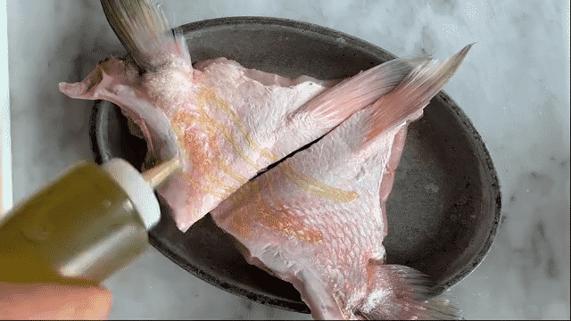 fish collars