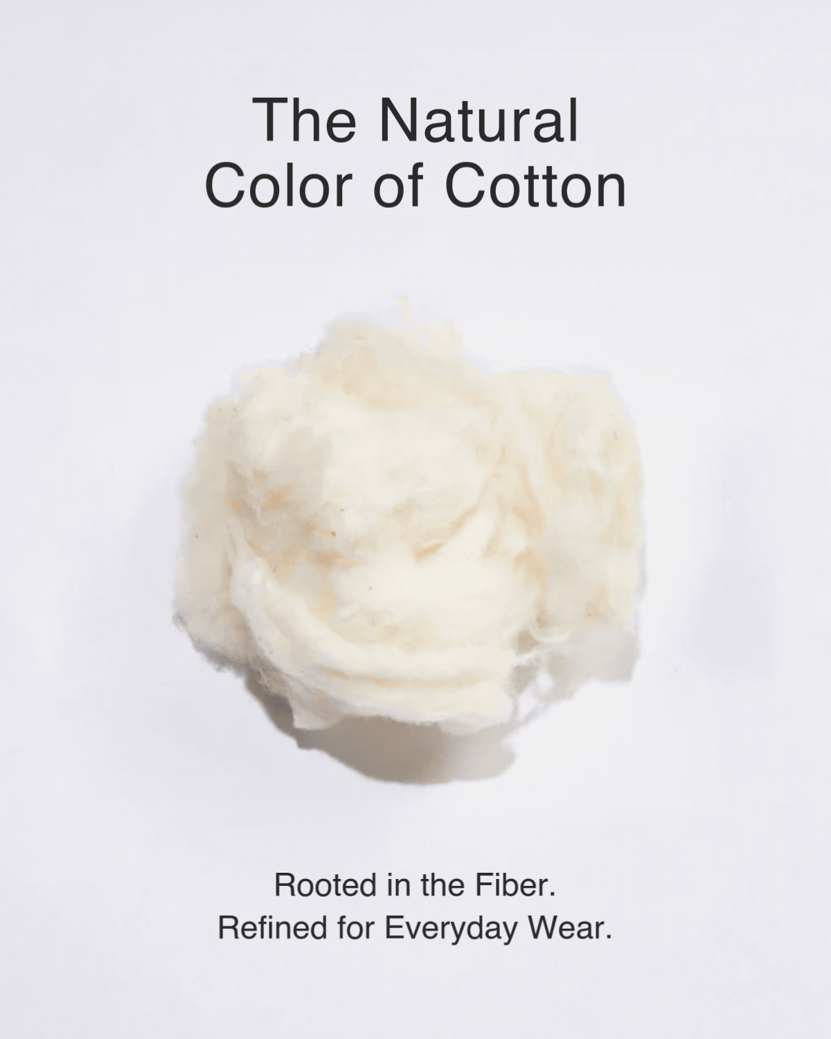 The Natural Color of Cotton