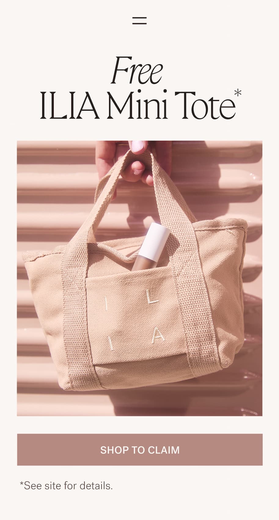 Free Mini Tote