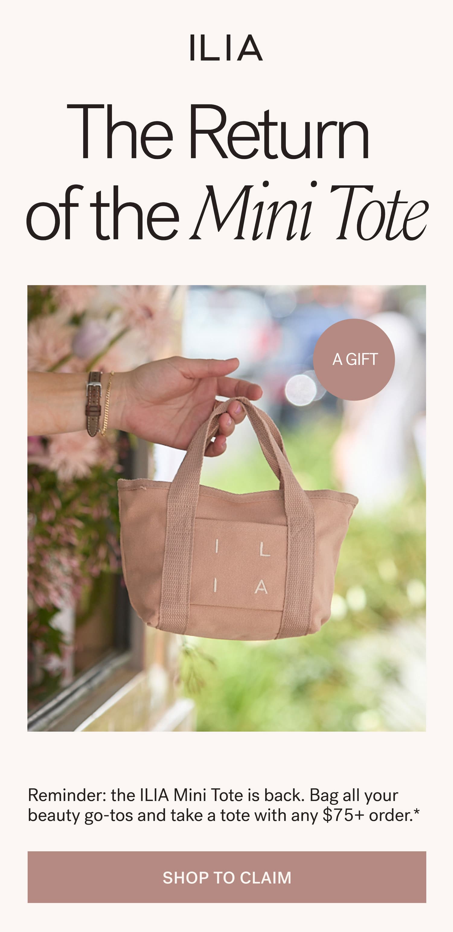 Return of the Mini Tote