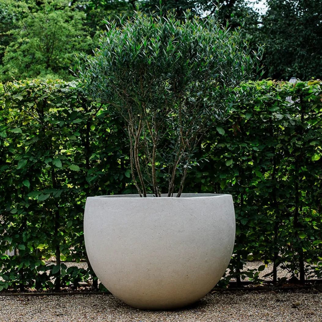Small space, go big Large pots