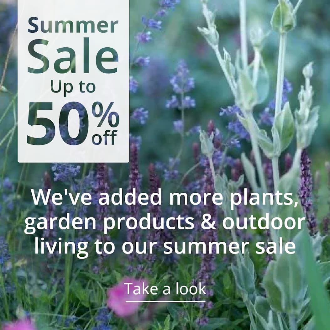 Summer sale - shop now