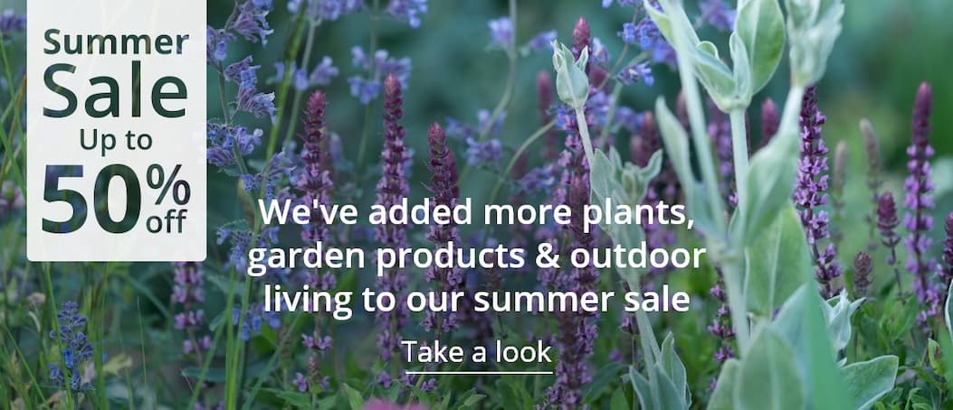 Summer sale - shop now