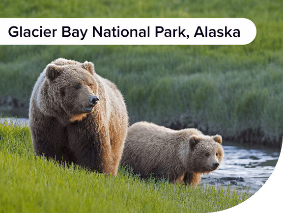 Glacier Bay National Park, Alaska