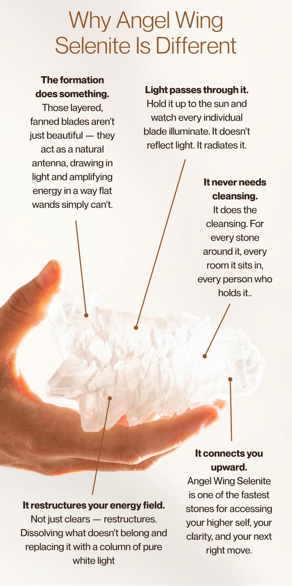 Why Angel Wing Selenite Is Different