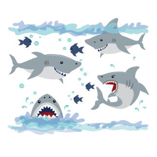 Shop Shark Collection