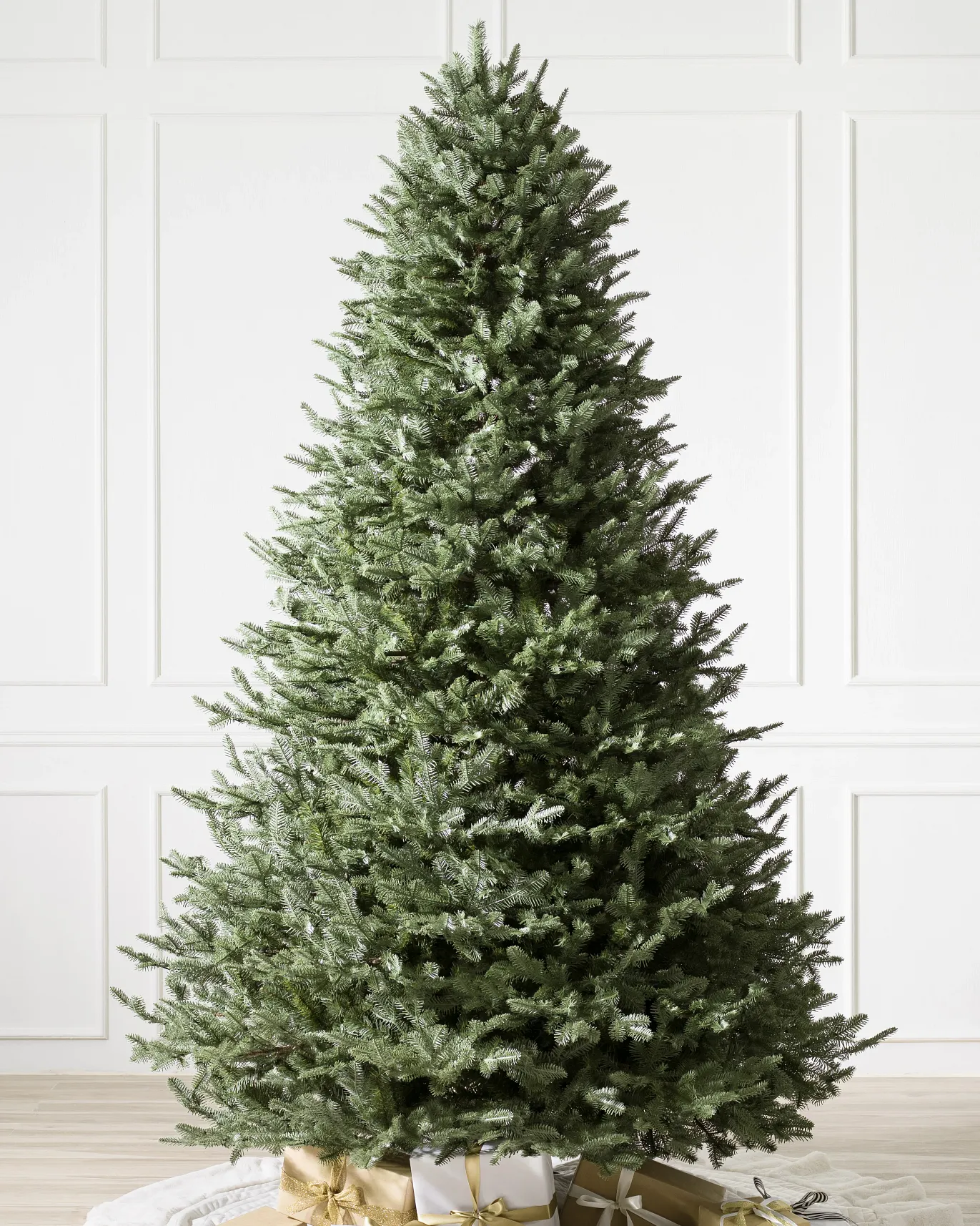 BH Balsam Fir Tree