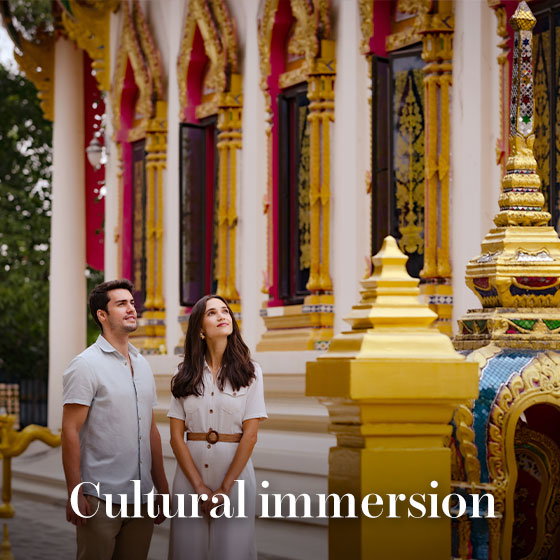 Cultural immersion