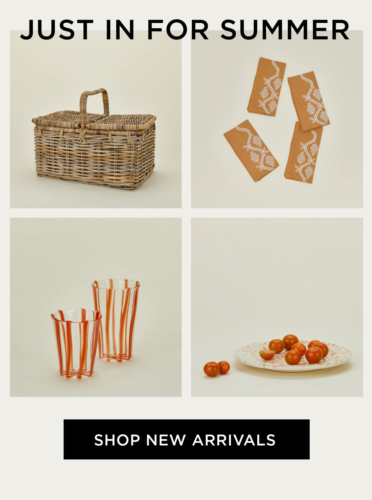 Shop New