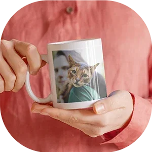 Mugs