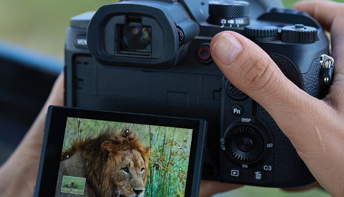 Sony RX10 V Feature 2
