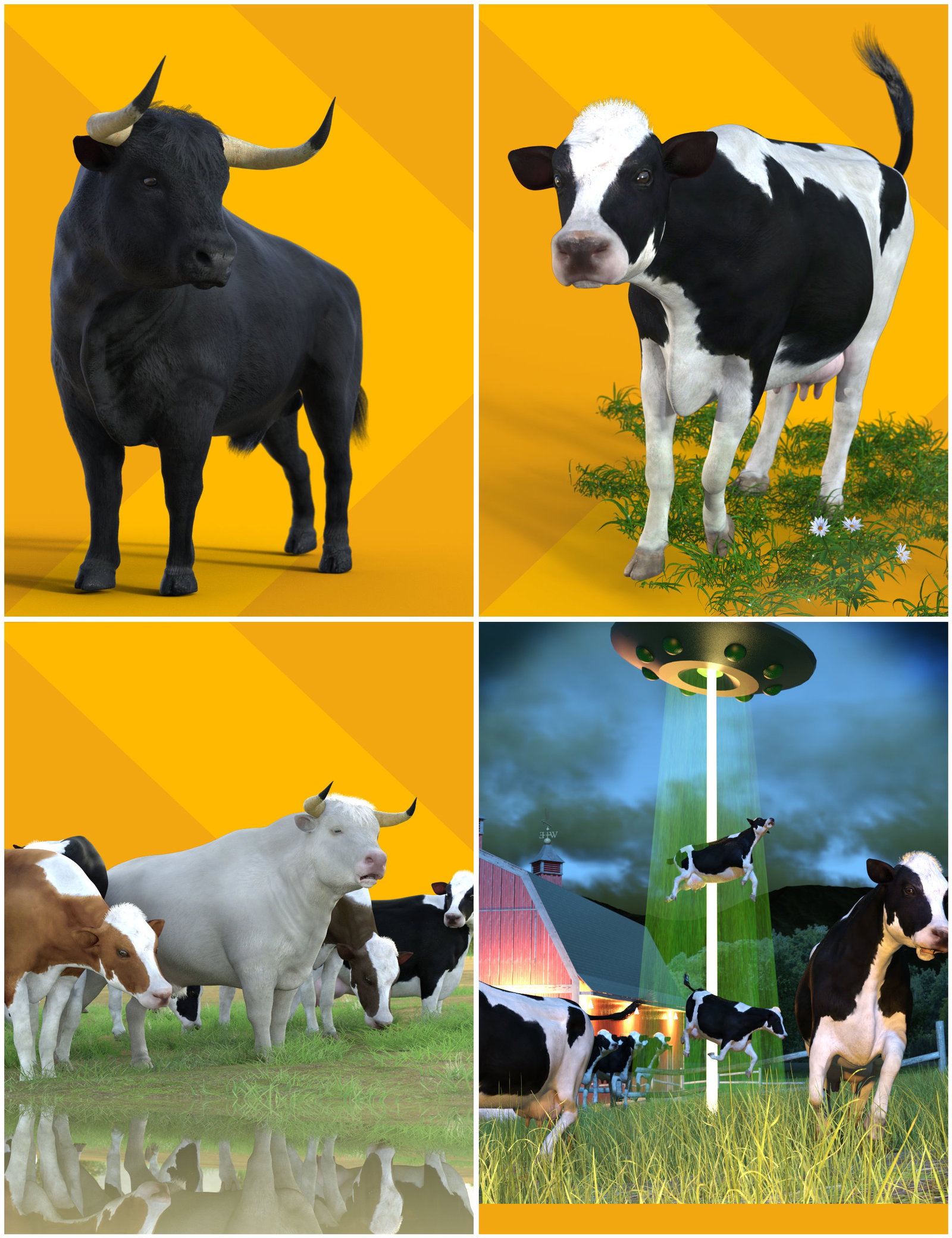 Bovine Daz Horse 3 Character Bundle