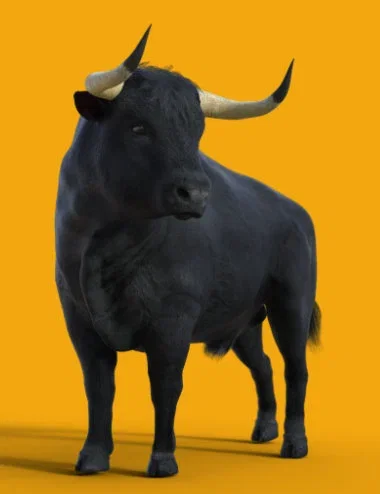 Bull for Daz Horse 3