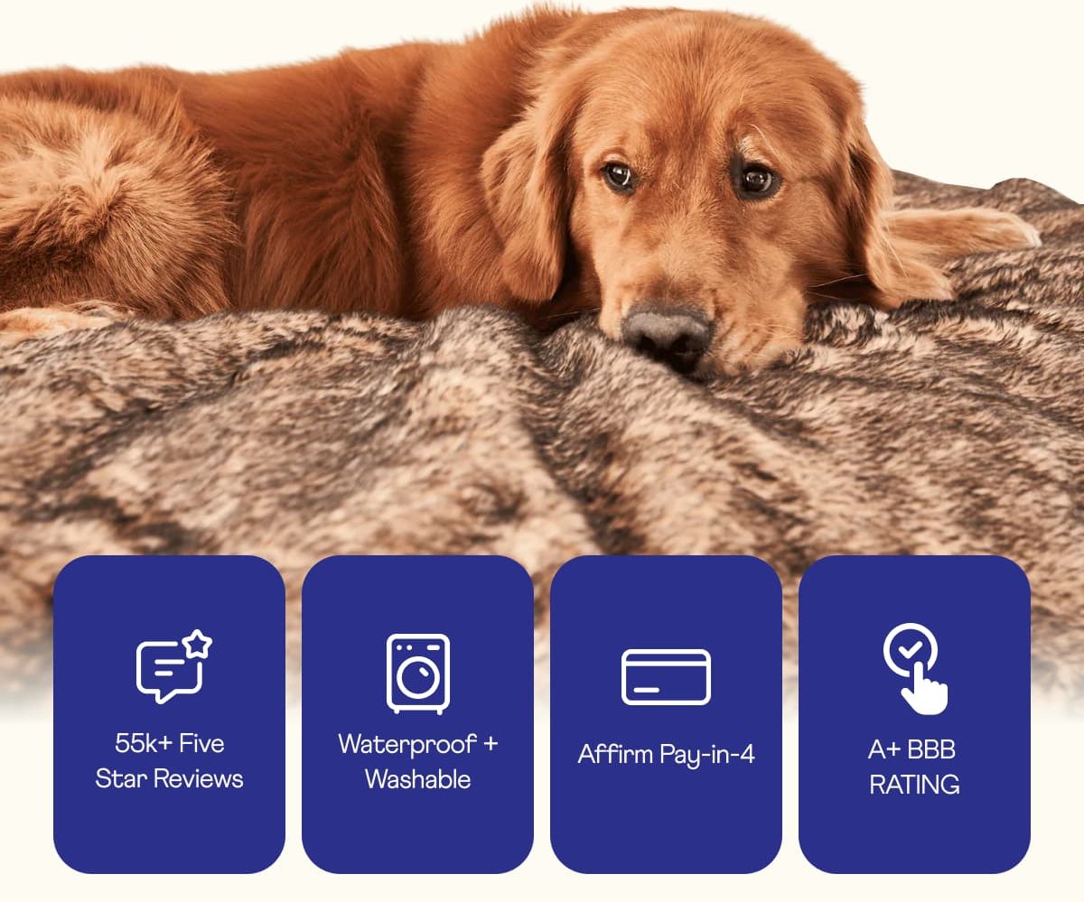 55k + Five Star Reviews | Waterproof + Washable | Affirm Pay - in - 4 | A + bbb rating
