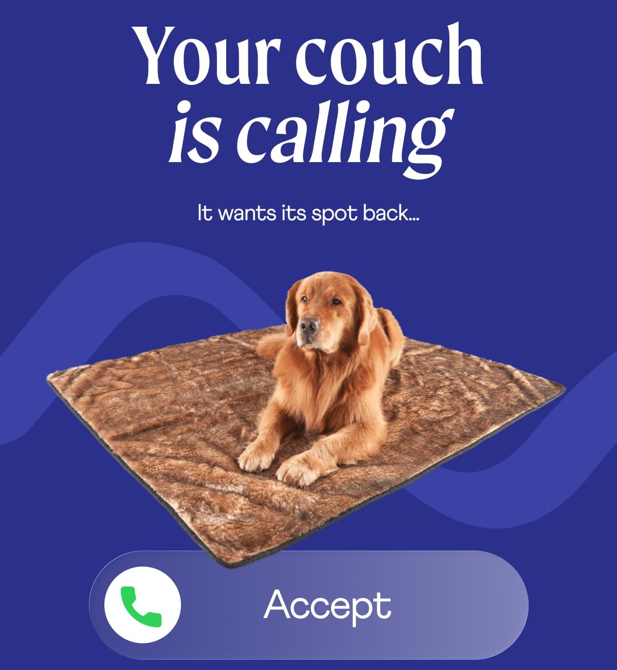 Your couch is calling It wants its spot back... Accept