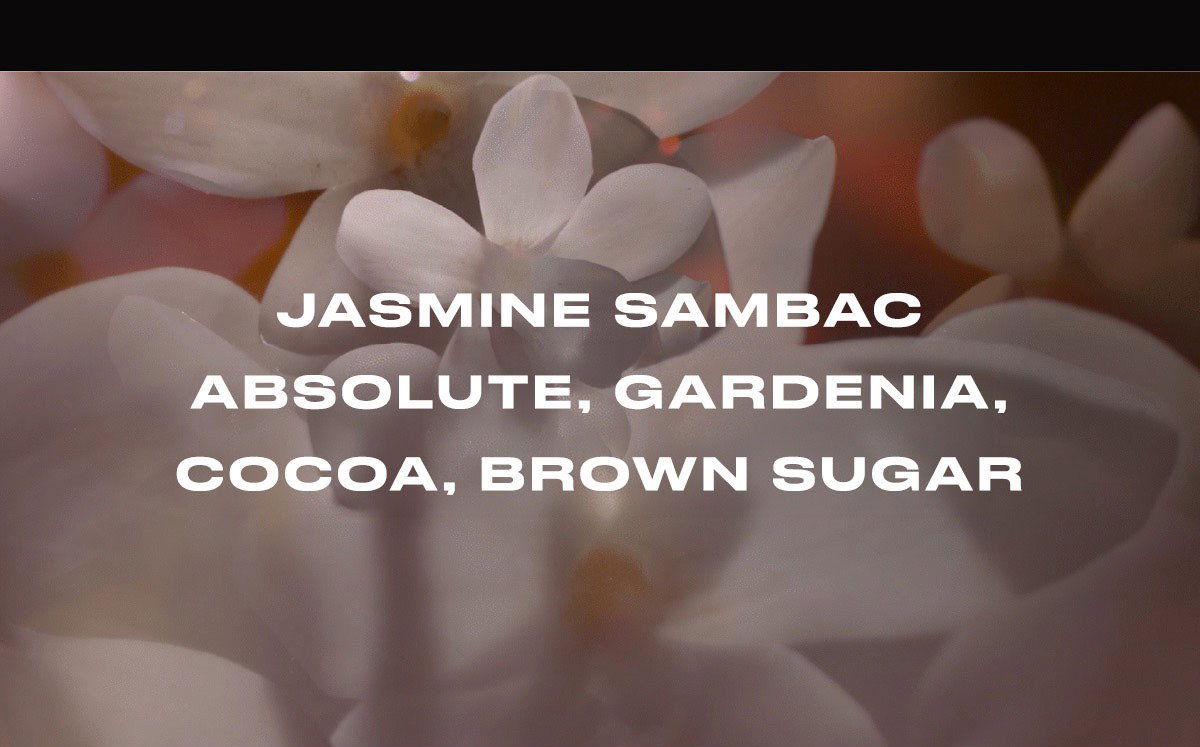 Jasmine Sambac, Absolute, Gardenia, Cocoa, Brown Sugar